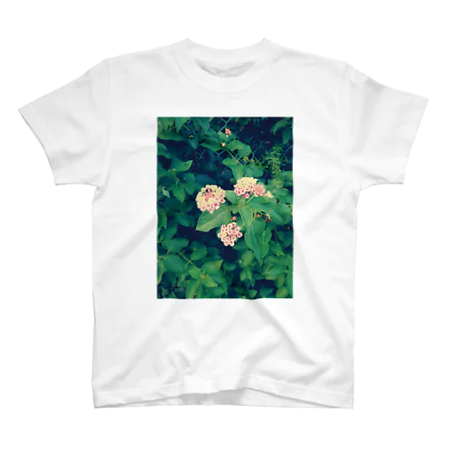 Bloom スタンダードTシャツ