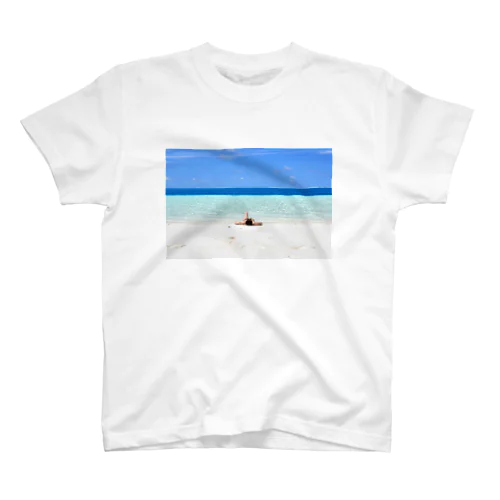 ノカンウィ島 スタンダードTシャツ