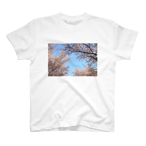 桜 スタンダードTシャツ