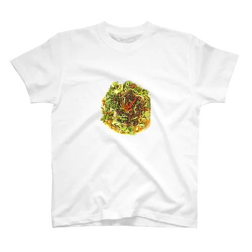 phakchi stream Regular Fit T-Shirt