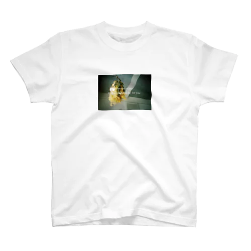 film スタンダードTシャツ