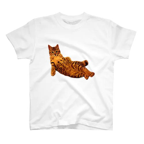 Elegant Cat ① スタンダードTシャツ