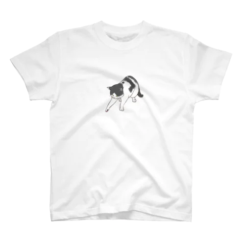 ハチワレ牛ねこシルバ（おチョイ） スタンダードTシャツ