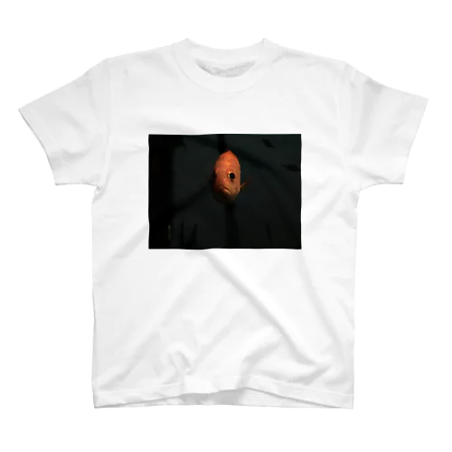 レッドシーマン Regular Fit T-Shirt