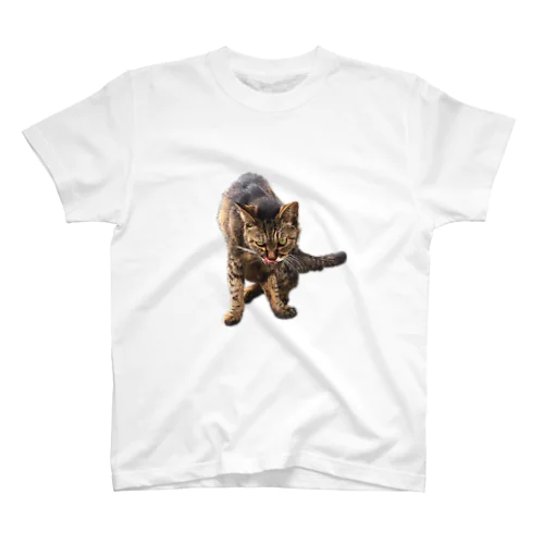 わるかおネコちゃん Regular Fit T-Shirt