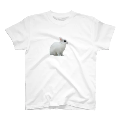 よこむきはるさめちゃん Regular Fit T-Shirt