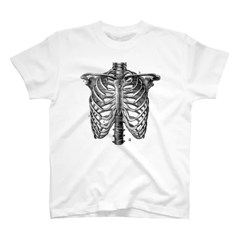 肋骨A Regular Fit T-Shirt