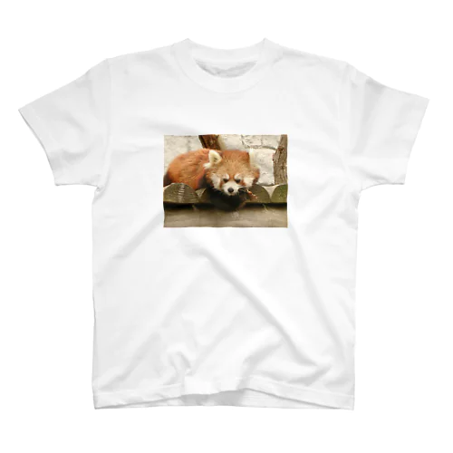 レッサーパンダ01 Regular Fit T-Shirt