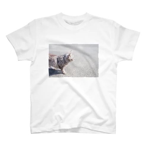 しまねこ Regular Fit T-Shirt