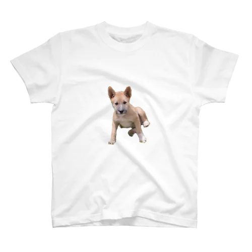 犬001 スタンダードTシャツ