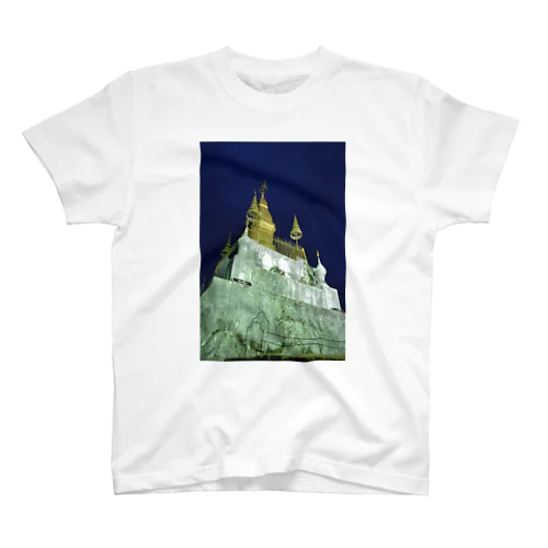 プーシーの丘の夜景 スタンダードTシャツ