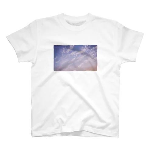 落ち着く空 Regular Fit T-Shirt