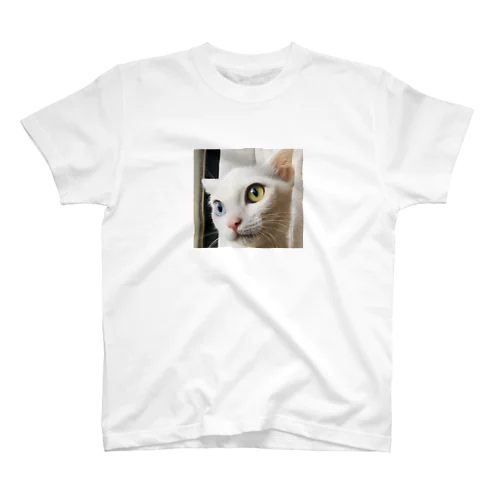 白猫マリー スタンダードTシャツ