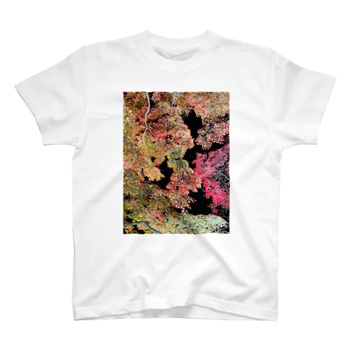 飽きない秋 Regular Fit T-Shirt
