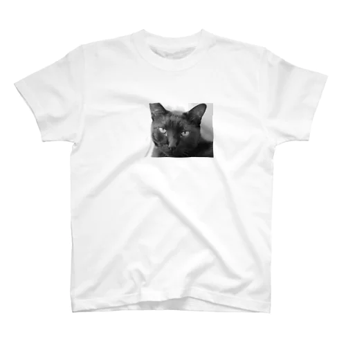 クロちゃん Regular Fit T-Shirt
