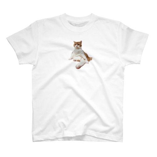 セクシーまちるだ Regular Fit T-Shirt