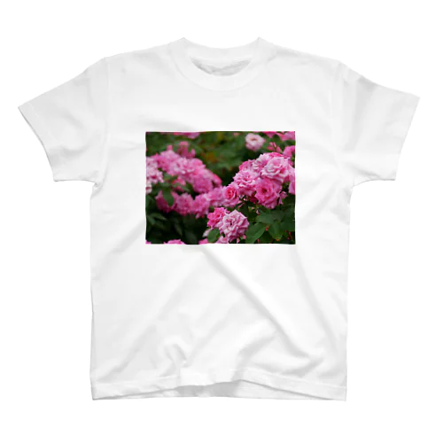 薔薇 スタンダードTシャツ