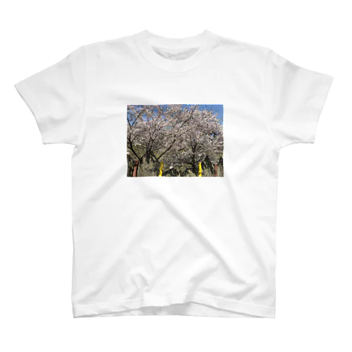 桜の木 スタンダードTシャツ