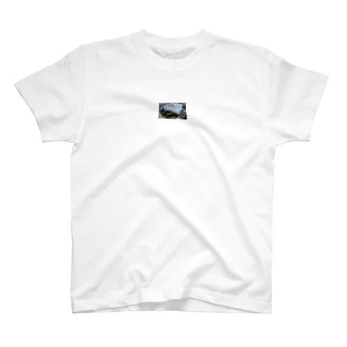 Dy-Nonwoven Regular Fit T-Shirt