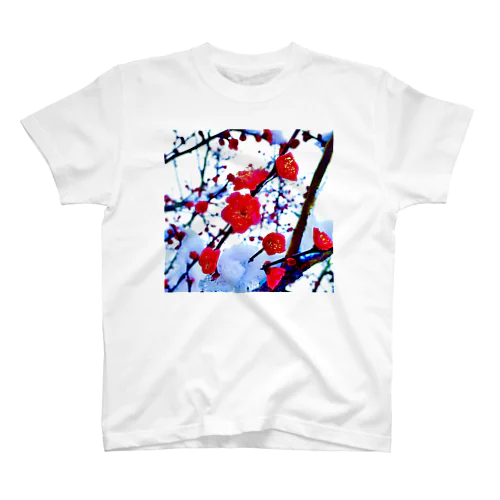 梅と雪(2015) スタンダードTシャツ