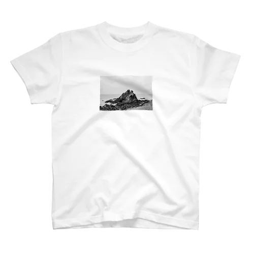 mount Regular Fit T-Shirt