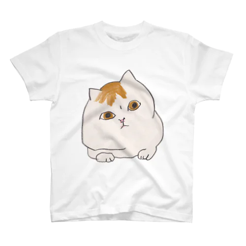 うかがいねこ Regular Fit T-Shirt