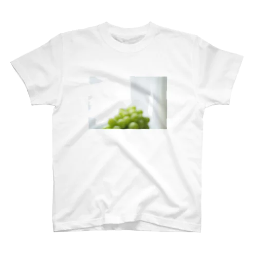 Mt. Shine Muscat Regular Fit T-Shirt