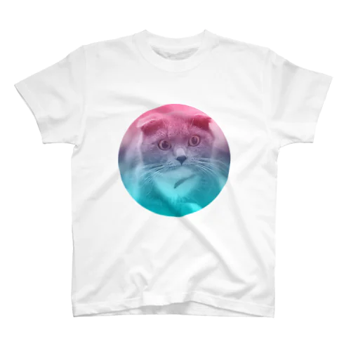 両面進捗猫 Regular Fit T-Shirt