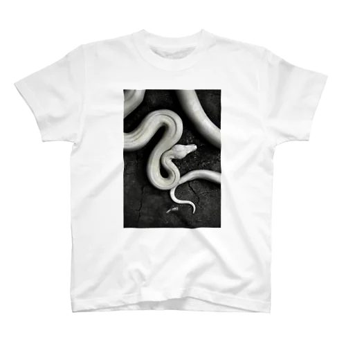 Boa constrictor スタンダードTシャツ