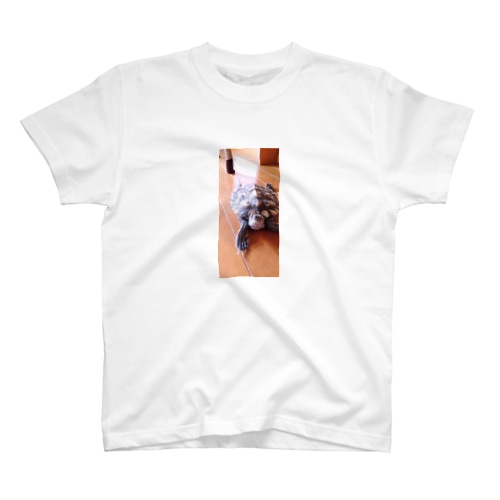 チズカメの楓ちゃん❤︎ Regular Fit T-Shirt