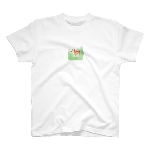 しばいぬdays Regular Fit T-Shirt