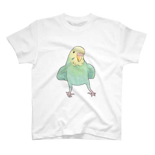 可愛いセキセイインコのミントちゃん【まめるりはことり】 スタンダードTシャツ