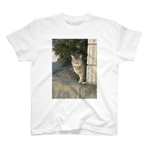 ジト目猫ちゃん Regular Fit T-Shirt