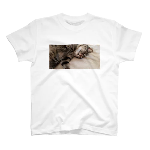 BIG猫　すやすや Regular Fit T-Shirt