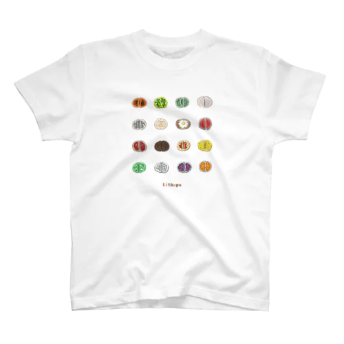 T-29 Lithops Regular Fit T-Shirt