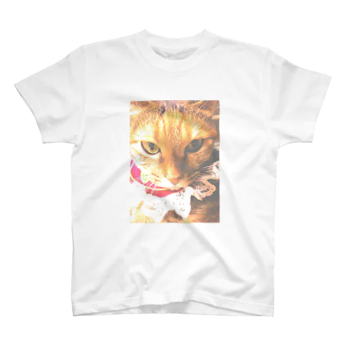 猫プリンちゃん（姫） スタンダードTシャツ