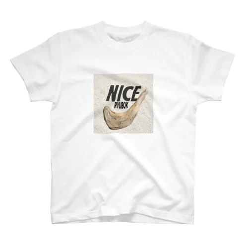 NICE Regular Fit T-Shirt