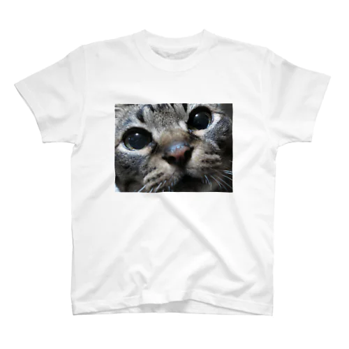 我が家の先代猫 スタンダードTシャツ