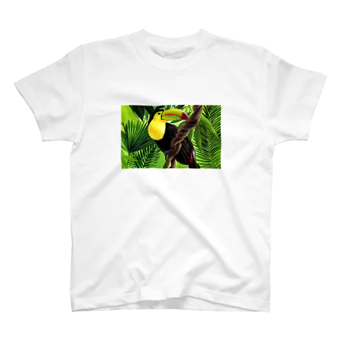 Keel billed toucan スタンダードTシャツ