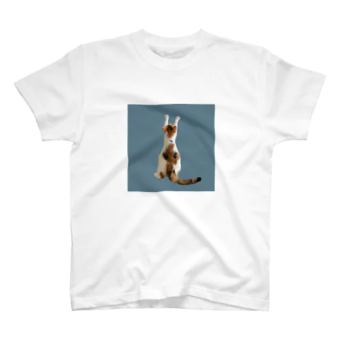 ひっつかまる猫 (blue) / ニャーニャー スタンダードTシャツ