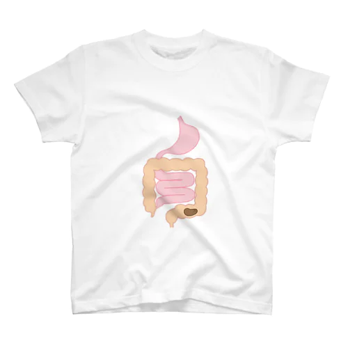腸内環境Tシャツ スタンダードTシャツ
