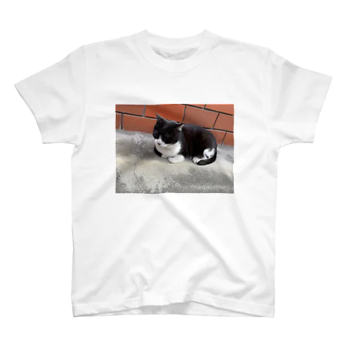 街歩いてたらいたレンガ猫 Regular Fit T-Shirt