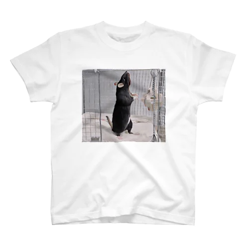 あずき Regular Fit T-Shirt