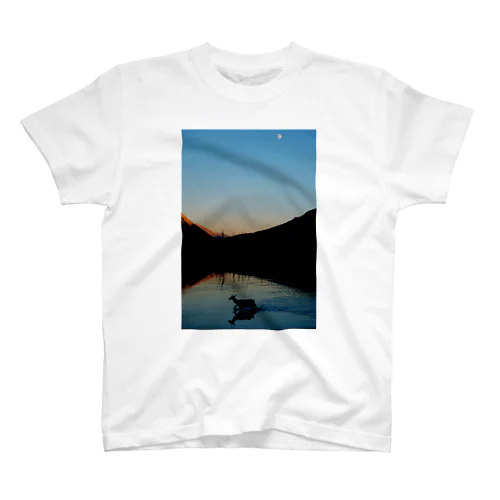 Stillness Regular Fit T-Shirt