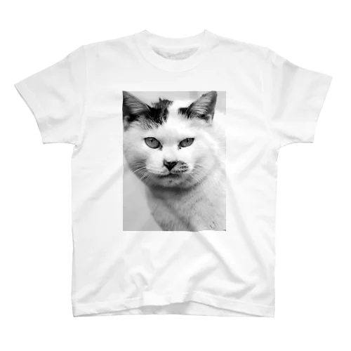 猫は見た スタンダードTシャツ
