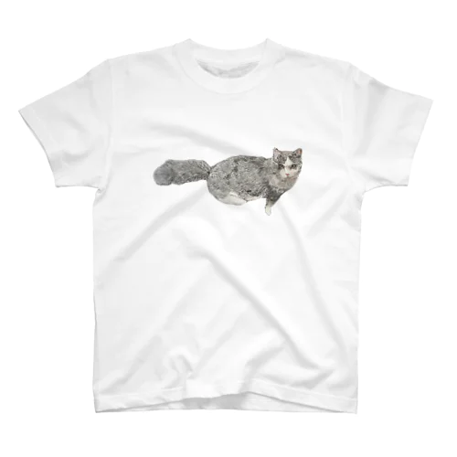 猫（ノルウェージャンフォレストキャット） Regular Fit T-Shirt