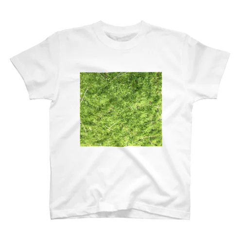 癒し苔🌿 スタンダードTシャツ