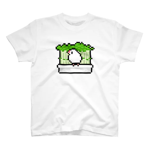 文鳥用の豆苗(白文鳥) スタンダードTシャツ