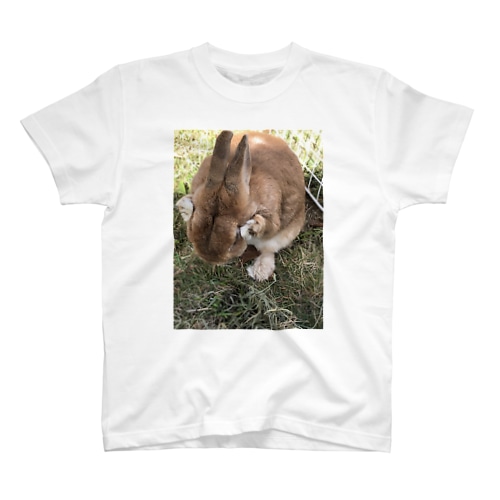 うさんぽアイテム Regular Fit T-Shirt