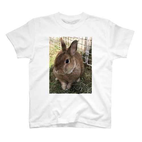 うさんぽアイテム Regular Fit T-Shirt